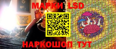 ALPHA PVP Нальчик