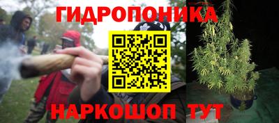 ALPHA PVP Нальчик