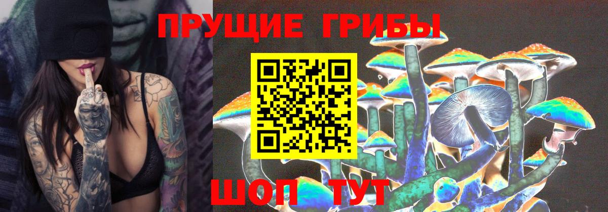Псилоцибиновые грибы ЛСД  Вход с VPN  Рязань 